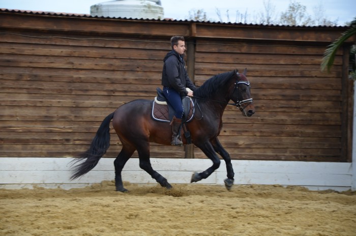 Photo de profil de delfim