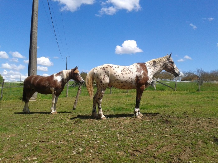 Photo de profil de stecylayec