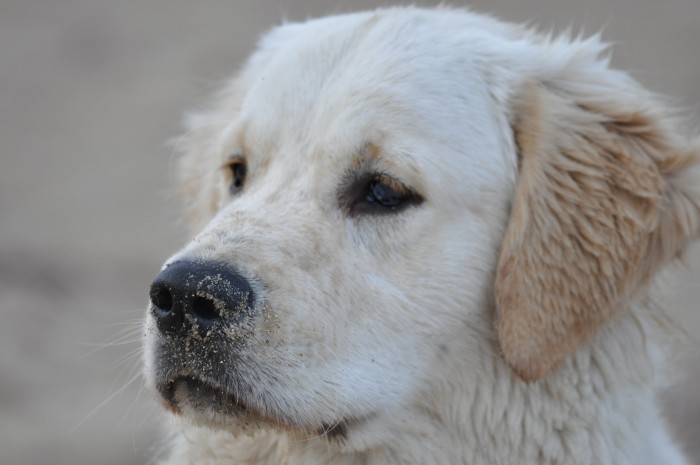 Photo de profil de muru45