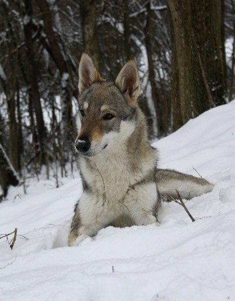 Photo de profil de natalou