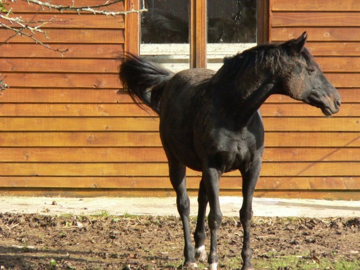 Photo de profil de parkinette