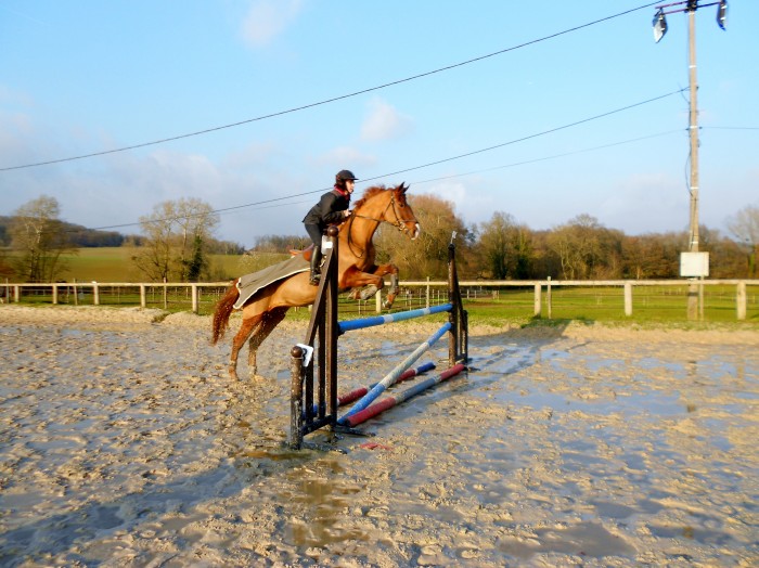 Photo de profil de lucie91470