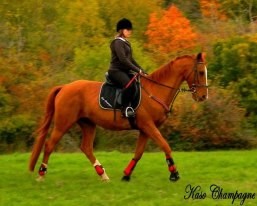 Photo de profil de melaniemelanie