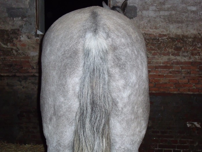 Photo de profil de laurakart