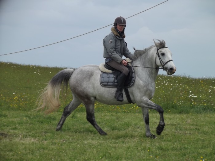 Photo de profil de qrapule
