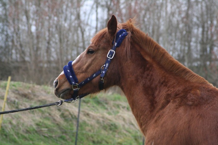 Photo de profil de manon5962