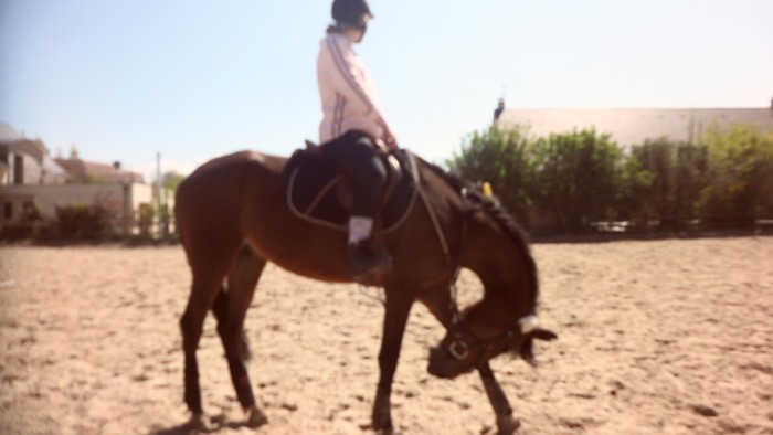Photo de profil de sarahbilly