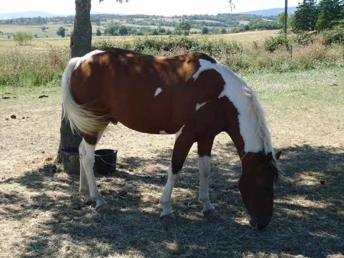 Photo de profil de cracro