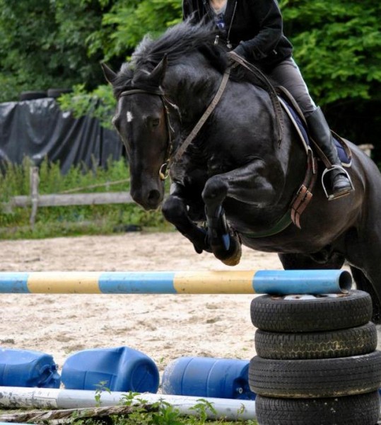 Photo de profil de lazurite