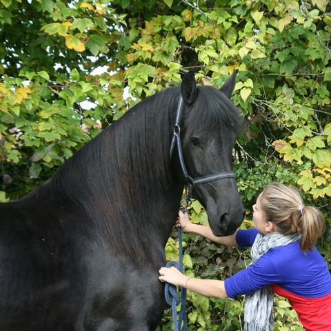 Photo de profil de motherfrison