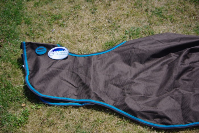 Photo de profil de puligny