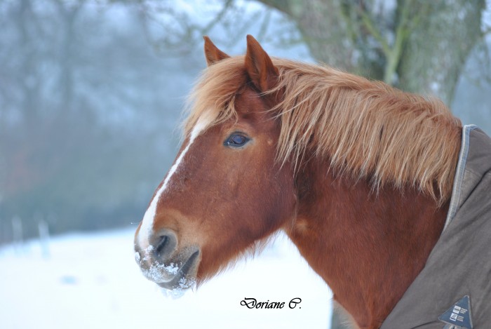 Photo de profil de voyoudevenoy