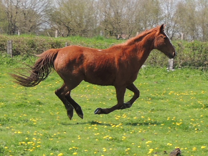 Photo de profil de nabouandco