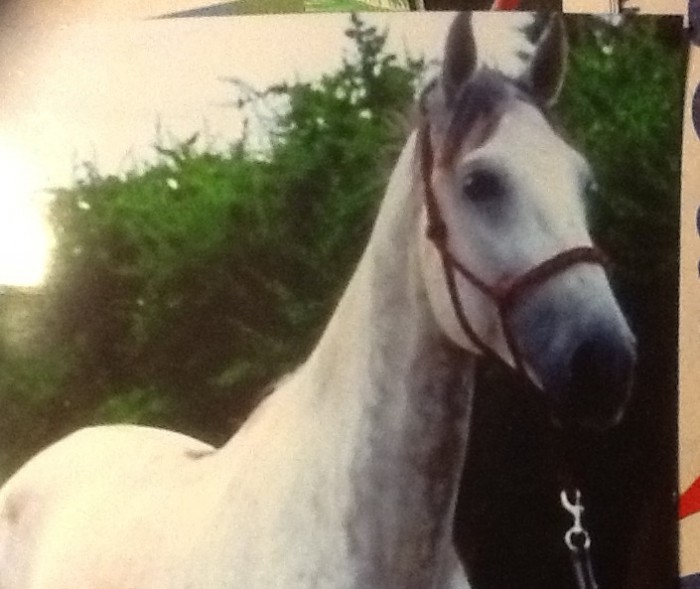 Photo de profil de unatil