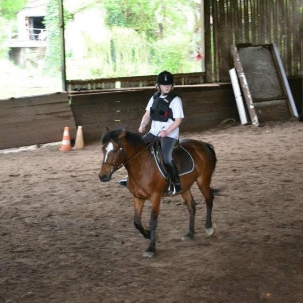 Photo de profil de ostrale69