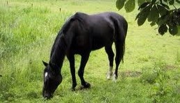 Photo de profil de mymy22022000