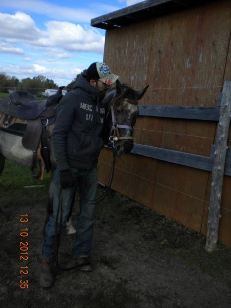 Photo de profil de davepjoly