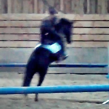 Photo de profil de hoorseaddict