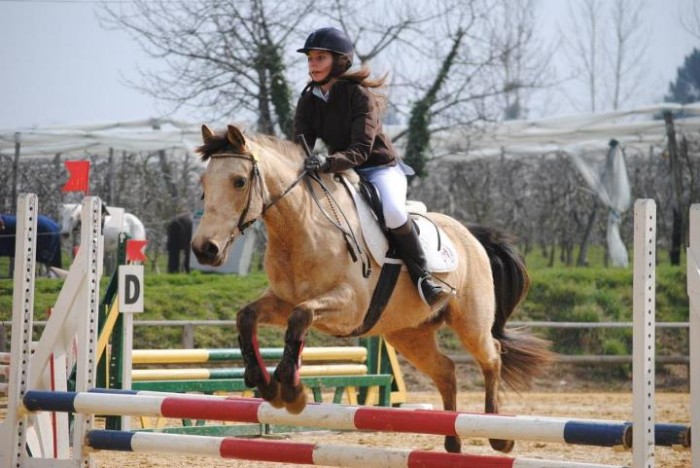 Photo de profil de carolaina