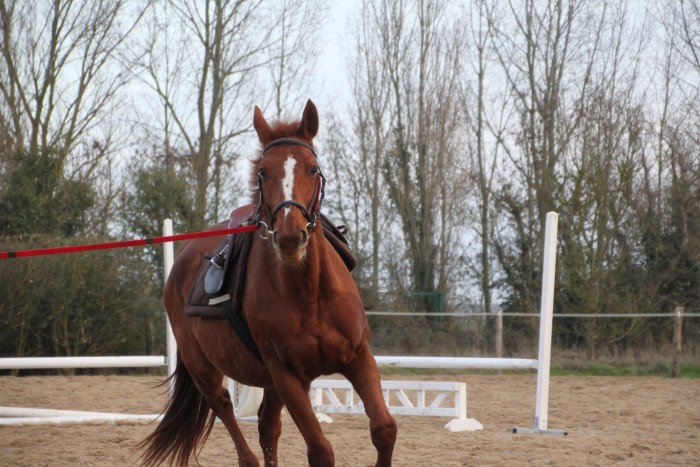 Photo de profil de jefrolr