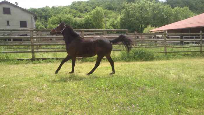 Photo de profil de jo38