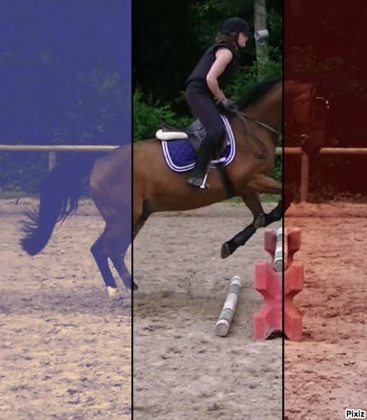 Photo de profil de rambon