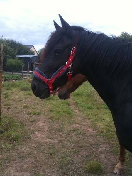 Photo de profil de utha44540