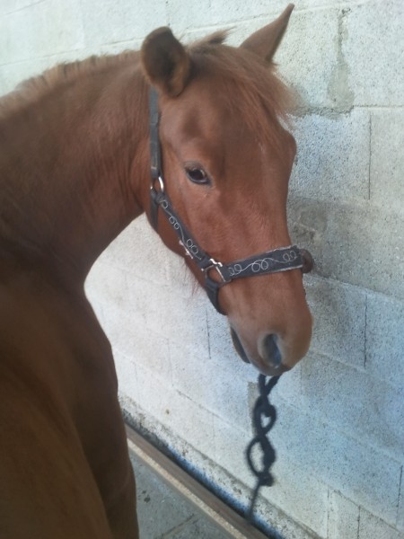 Photo de profil de classy68