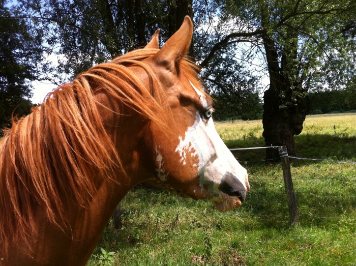 Photo de profil de ultana