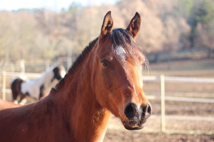 Photo de profil de vidocmargaux