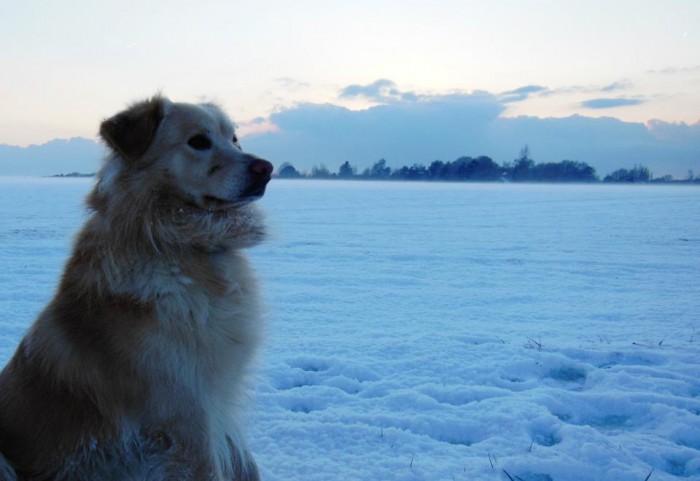 Photo de profil de storm