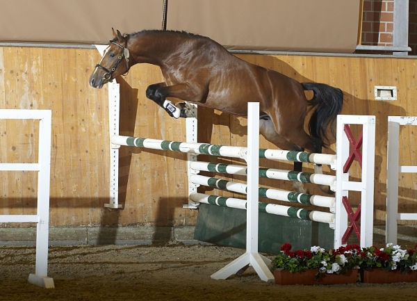 Photo de profil de owl37