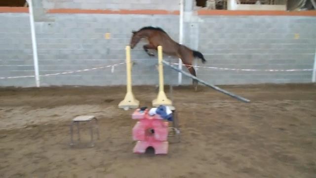 Photo de profil de marinaandrieu