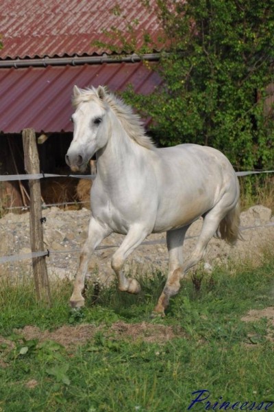 Photo de profil de claradu74140