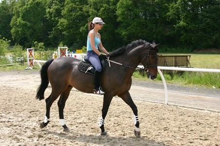 Photo de profil de lilousteph