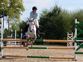Photo de profil de cheval35000