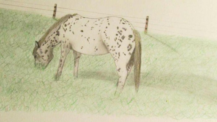 Photo de profil de floana