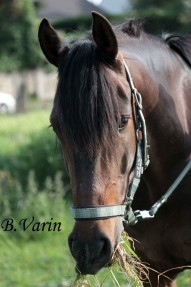 Photo de profil de soraya69