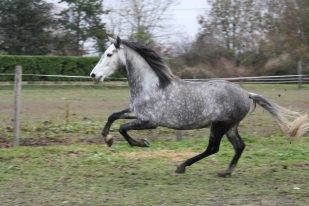 Photo de profil de julieost