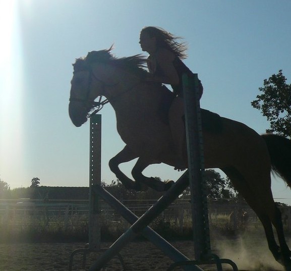 Photo de profil de quintouille