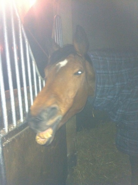 Photo de profil de rebeco