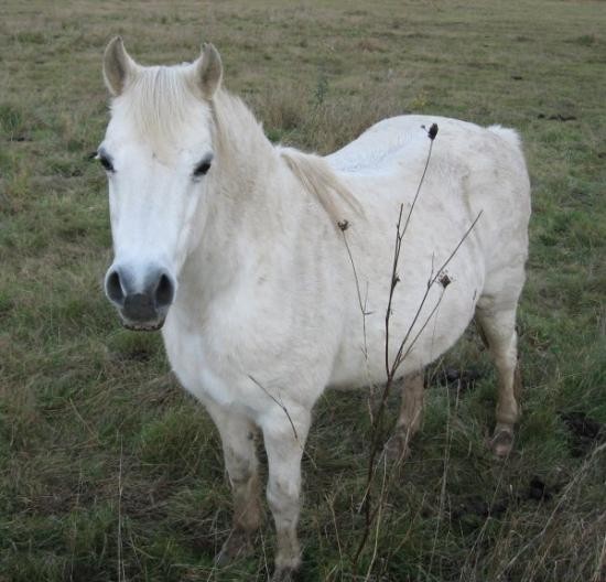Photo de profil de marine00358