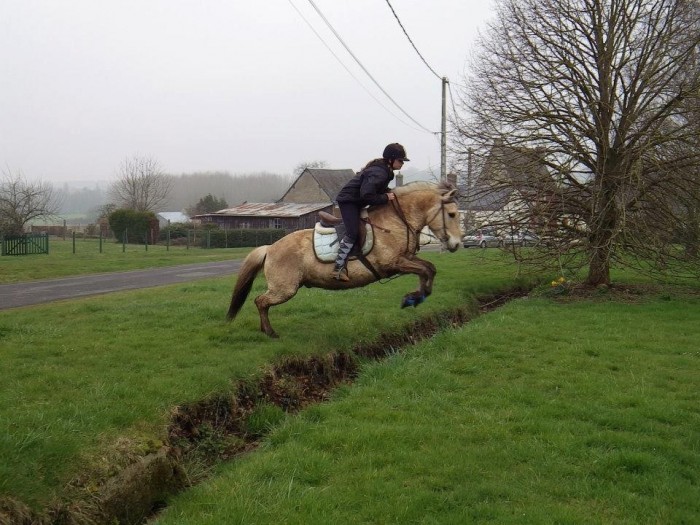 Photo de profil de sareah