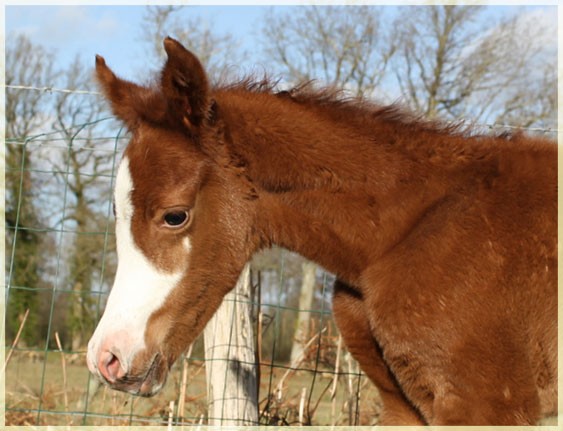 Photo de profil de shana.m