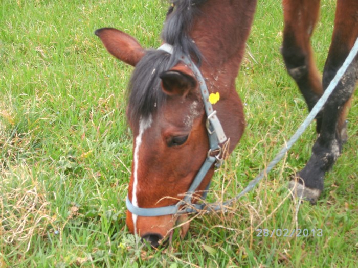 Photo de profil de gaboubouga