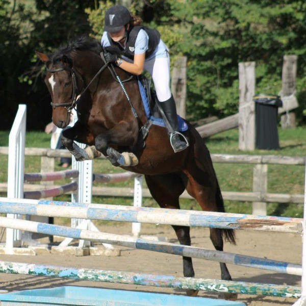 Photo de profil de dorinerumeau