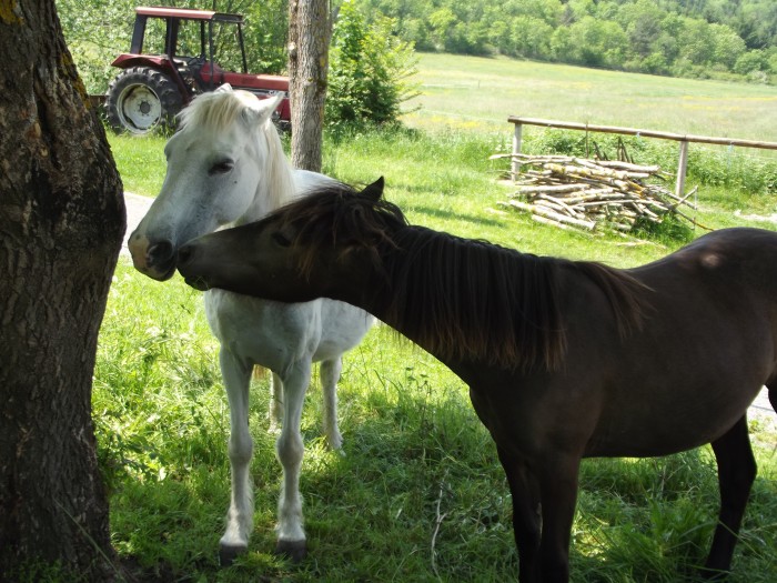 Photo de profil de redmoon