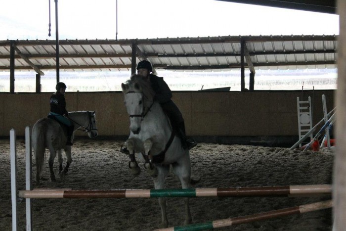 Photo de profil de horse03