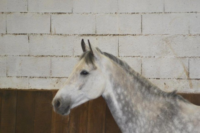 Photo de profil de scorpion54190
