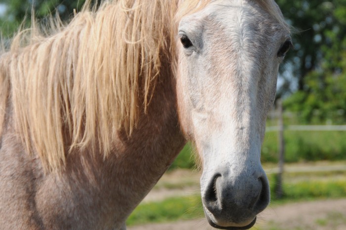 Photo de profil de bakeahi